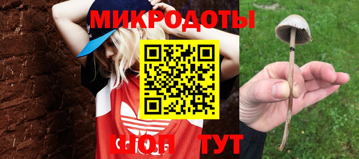 Псилоцибиновые грибы Cubensis Мурманск