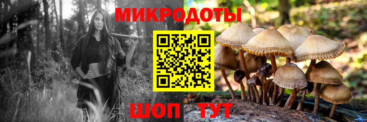 Галлюциногенные грибы Magic Shrooms  Псилоцибиновые грибы мухоморы  Вход с VPN  Мурманск 